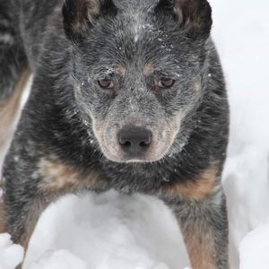 Meet your Posher, Terri